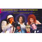 27-09-2015 - ahornevents - Night of Evergreen 2.png